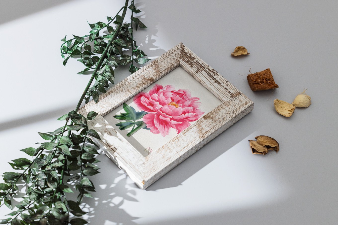 Blooming Rose Series - Full Bloom