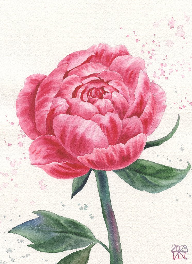 Blooming Rose Series - Stage Four - Obra original de Anastasia Zueva