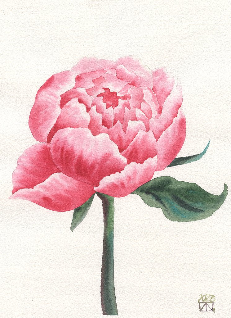 Blooming Rose Series - Stage Three