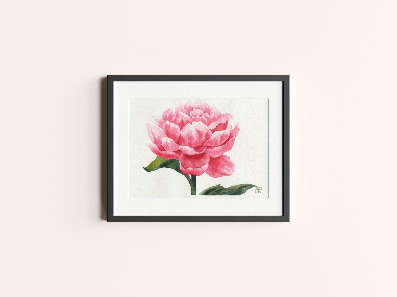 Blooming Rose Series - Full Bloom Horizontal