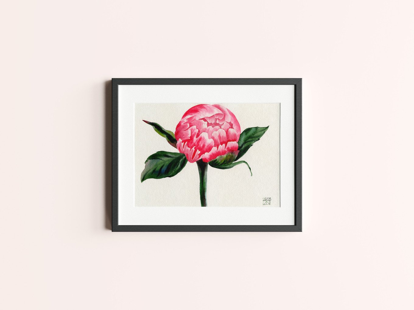 Blooming Rose Series - First Dawn Horizontal