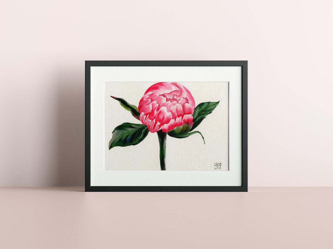 Blooming Rose Series - First Dawn Horizontal