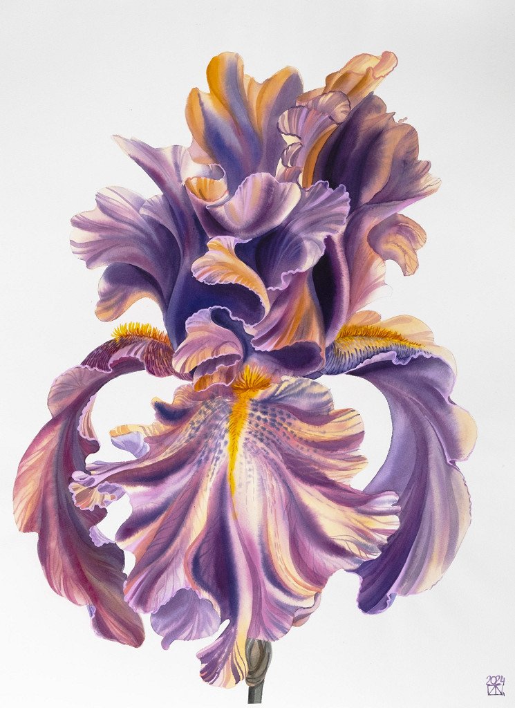 Iridescent Elegance